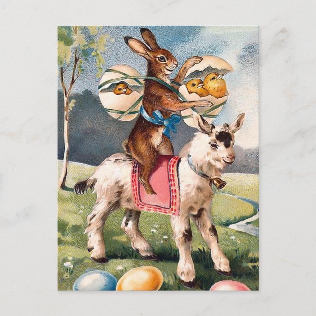 Vintage Easter Bunny Postcard (Front)