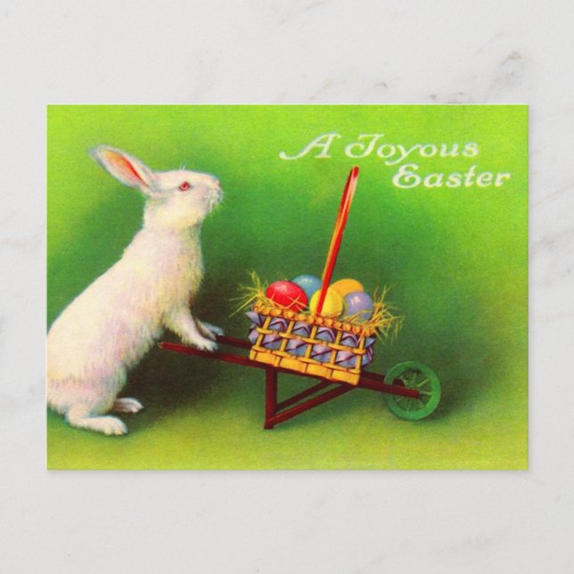 Vintage Easter Bunny Postcard (Front)
