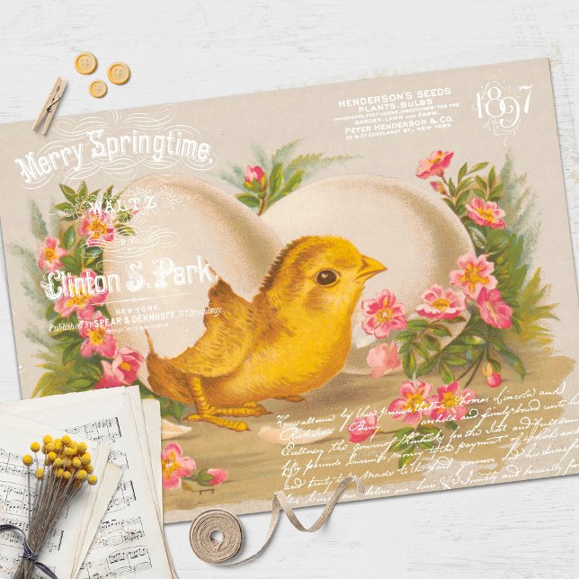 Vintage Easter Chick Decoupage Tissue Paper (Creator Uploaded)