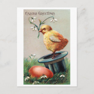 Vintage Easter Chick Egg Flower Postcard
