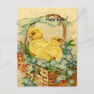 Vintage Easter Chicks Holiday Postcard
