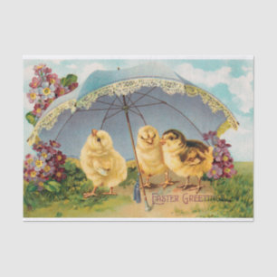 Vintage Easter Cute Chicks under a Parasol Tissue Paper