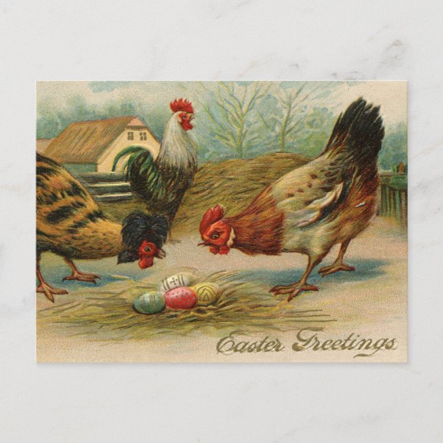 Vintage Easter Greeting Chickens Holiday Postcard (Front)