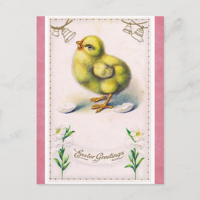 Vintage Easter Greetings Cute Spring Chick Postcard (Front)