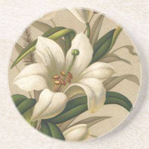 Vintage Easter Lilies, Victorian Flowers in Bloom Coaster