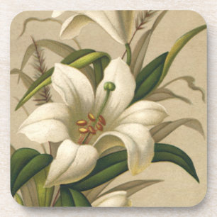 Vintage Easter Lilies, Victorian Flowers in Bloom Coaster