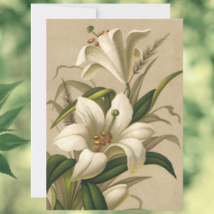 Vintage Easter Lilies, Victorian Flowers in Bloom Holiday Card