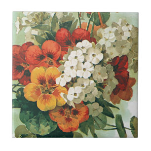 Vintage Eastman's Seed Catalogue Cover Art, 1897 Tile