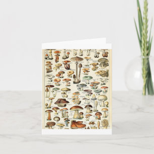 Vintage Edible Mushroom Chart Card