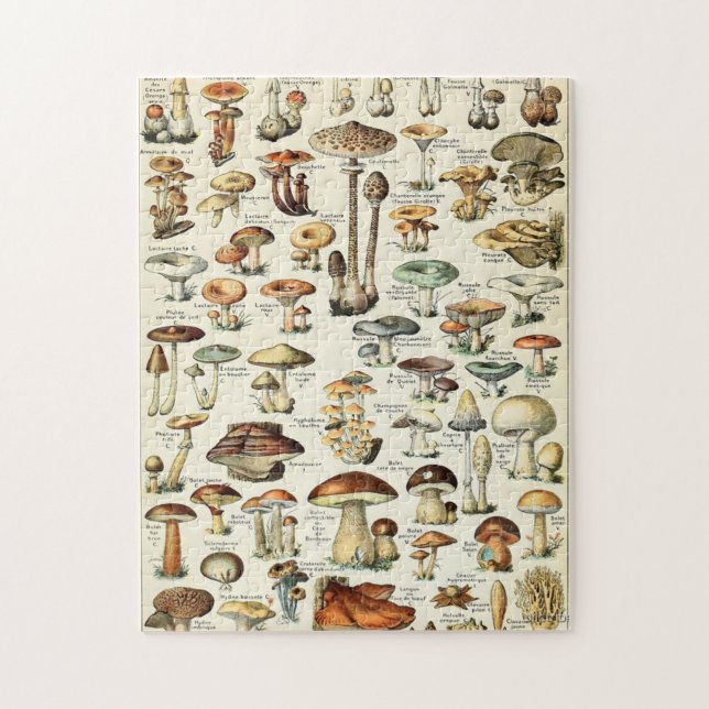 Vintage Edible Mushroom Chart Jigsaw Puzzle (Vertical)