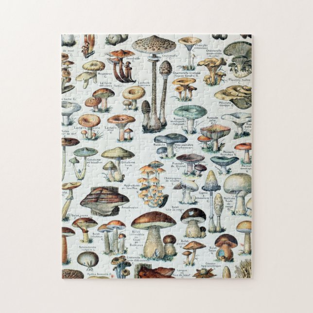 Vintage Edible Mushroom Chart Jigsaw Puzzle (Vertical)