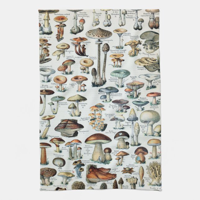 Vintage Edible Mushroom Chart Kitchen Towel (Vertical)