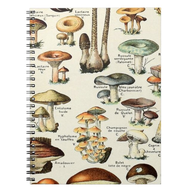 Vintage Edible Mushroom Chart Notebook (Front)