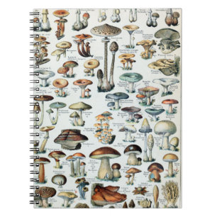 Vintage Edible Mushroom Chart Notebook
