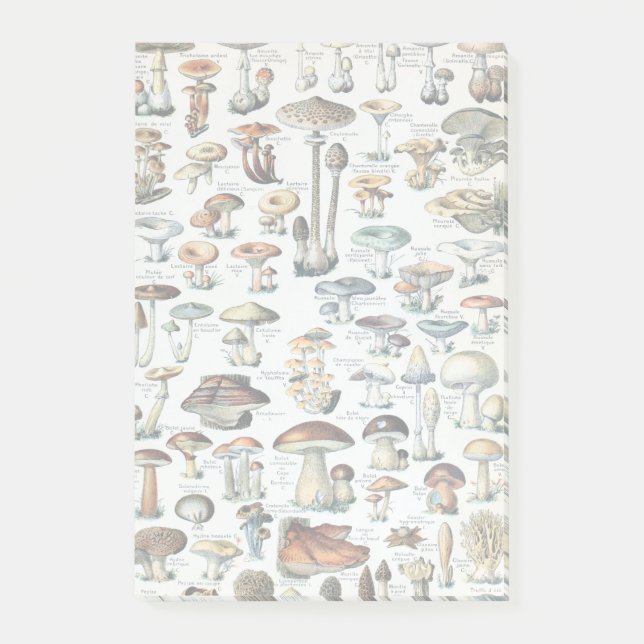Vintage Edible Mushroom Chart Post-it Notes (Front)