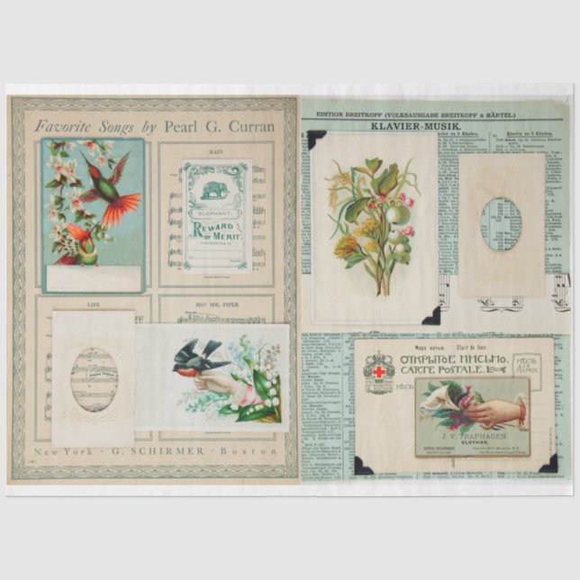 Vintage Edwardian images Tissue Paper (Front)