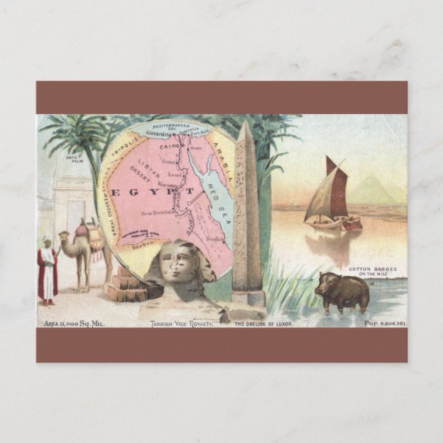 Vintage Egypt Map Postcard (Front)