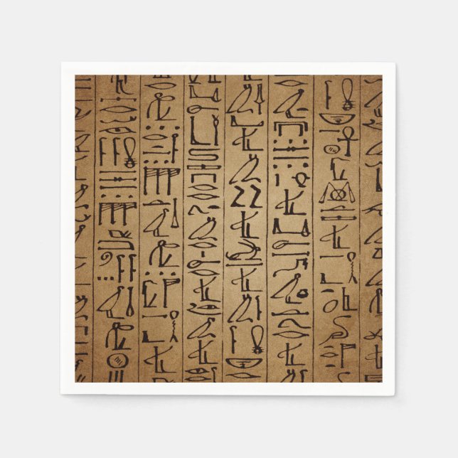 Vintage Egyptian Hieroglyphics Paper Print Napkin (Front)
