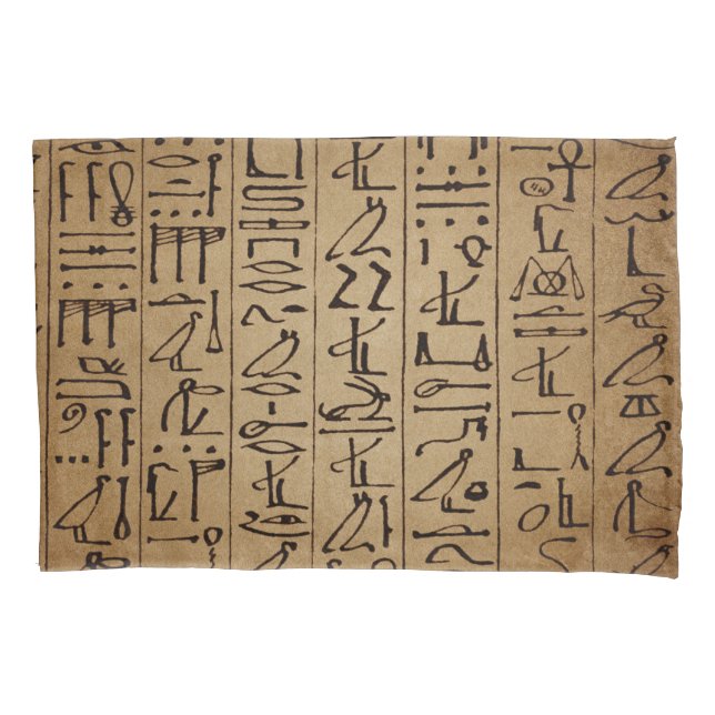 Vintage Egyptian Hieroglyphics Paper Print Pillowcase (Front-Left)