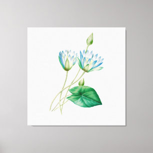 Vintage Egyptian Lotus Flower Canvas Print