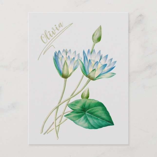 Vintage Egyptian Lotus Flower  Postcard (Front)