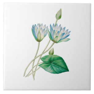 Vintage Egyptian Lotus Flower Tile