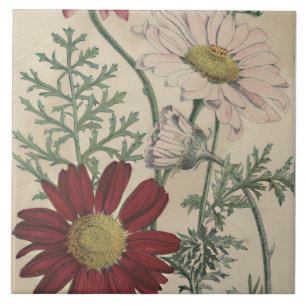 Vintage elegant daisy tile