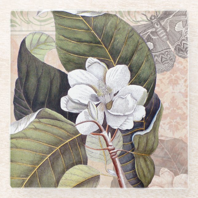 Vintage Elegant Southern Magnolia Chic Glass Coaster (Front)