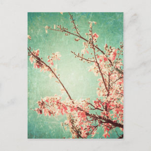 Vintage elegant worn teal wood & cherry blossom postcard