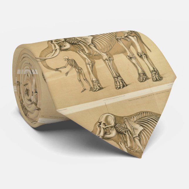 Vintage Elephant and Human Skeleton Illustration Tie (Rolled)