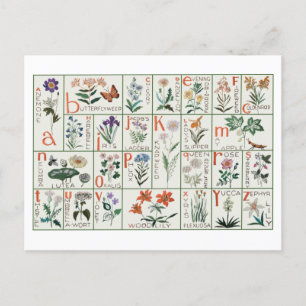 Vintage embroidery alphabet sampler Wildflowers Postcard