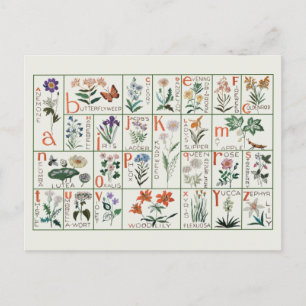Vintage embroidery alphabet sampler   Wildflowers Postcard