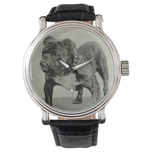 Vintage English Bulldog Photograph Watch (Front)