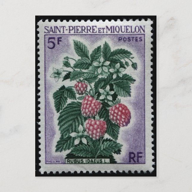 Vintage Engraved Stamp Postcard (Front)