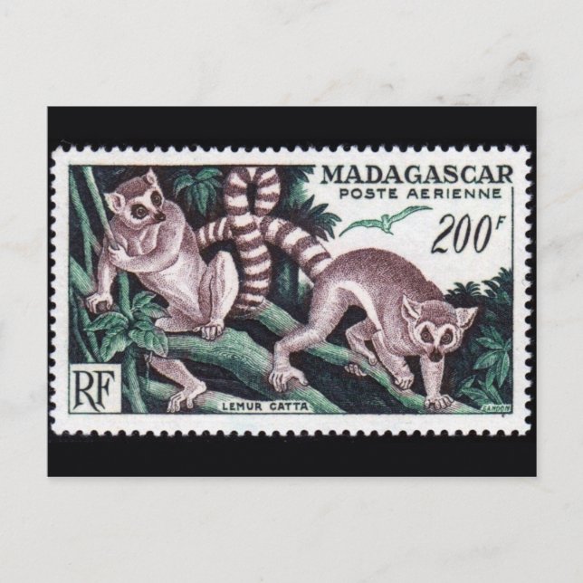 Vintage Engraved Stamp Postcard (Front)