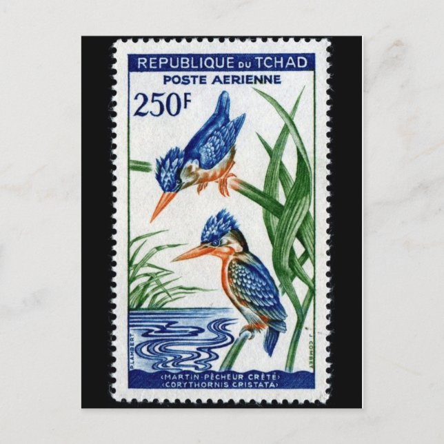 Vintage Engraved Stamp Postcard (Front)