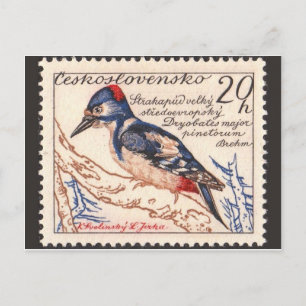 Vintage Engraved Stamp Postcard
