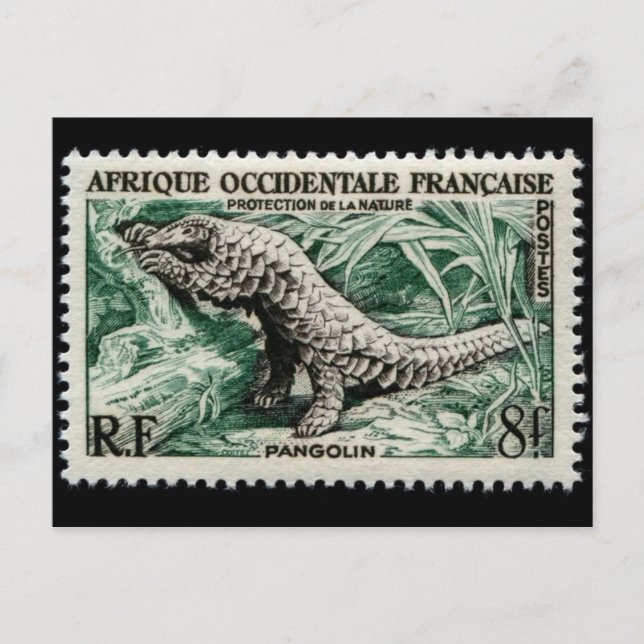 Vintage Engraved Stamp Postcard (Front)