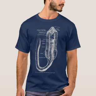 Vintage Entomology Earthworm Anatomy Tee