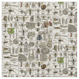 Vintage Entomology Fabric