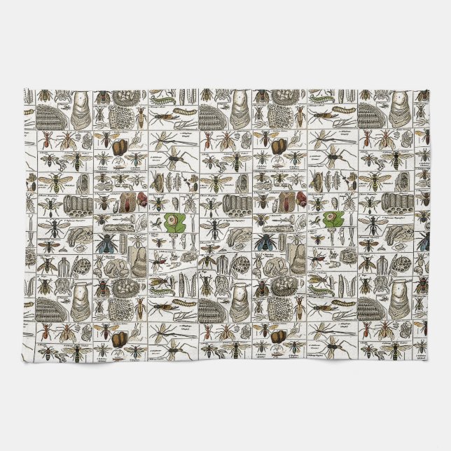 Vintage Entomology Kitchen Towel (Horizontal)