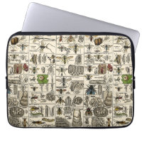 Vintage Entomology
