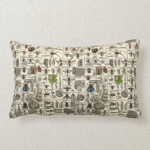 Vintage Entomology Lumbar Pillow