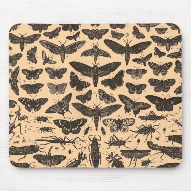 Vintage Entomology Mousepad (Front)