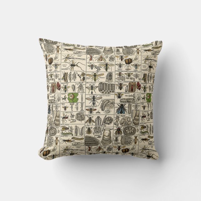 Vintage Entomology Throw Pillow (Front)