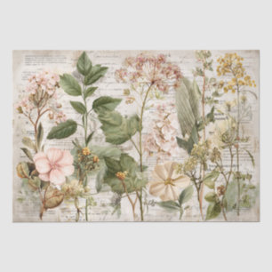 Vintage Ephemera Botanical Collage Tissue Paper
