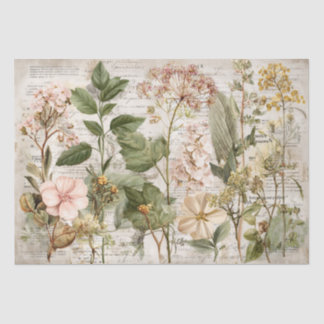 Vintage Ephemera Botanical Collage Tissue Paper