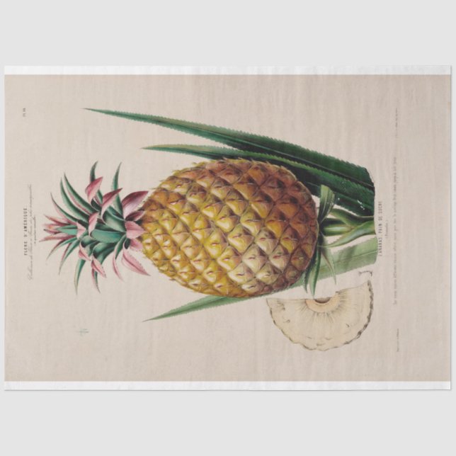 Vintage Ephemera Decoupage Pineapple Tissue Paper (Front)