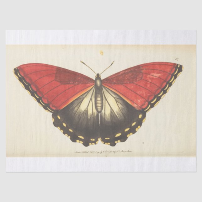 Vintage Ephemera Red Butterfly Moth Decoupage Tissue Paper (Front)