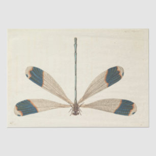 Vintage Ephemera Script Dragonfly Decoupage Tissue Paper